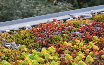 the cost of Kenn green roof installation