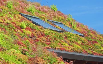 Kenn living roof systems