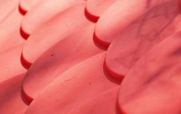 Kenn plastic roof costs