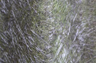 Kenn fibreglass roof work